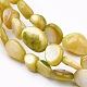 Chapelets de perles de coquillage BSHE-P026-29-11