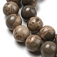 Natural Map Stone/Picasso Stone Beads Strands G-R494-A24-03-3