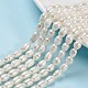 Natural Cultured Freshwater Pearl Beads Strands X-PEAR-S012-41-1