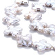 Chapelets de perles en Keshi naturel PEAR-S020-S01-4