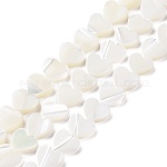 Brins de perles de coquillages naturels de troca, cœur, blanc, 8.5x8.5x2.5mm, Trou: 0.7mm, Environ 52~53 pcs/chapelet, 15.71'' (39.9 cm)