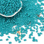 Выпечка краска стеклянные бусины SEED-L011-09A-07
