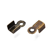 Железом мозг конец IFIN-T021-01AB