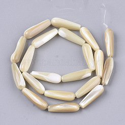 Chapelets de perles de coquille de trochid / trochus coquille&nbsp;X-SSHEL-N032-02