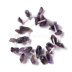 Natürlichen Amethyst Perlen Stränge&nbsp;G-I329-02