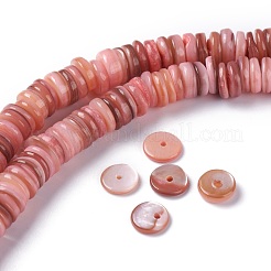 Naturali di acqua dolce perline shell fili&nbsp;BSHE-I016-04E