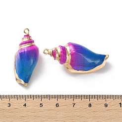 Conch Shell Anhänger&nbsp;SSHEL-B002-06D
