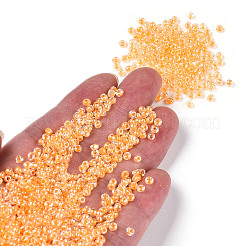 8/0 Glasperlen&nbsp;SEED-A015-3mm-2202