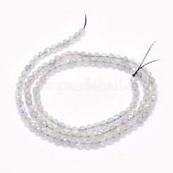 Natur Labradorit Perlen Stränge&nbsp;G-O166-22-3mm