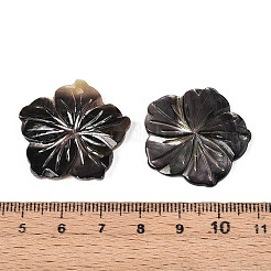 Natürliche geschnitzte Anhänger aus schwarzer Lippenmuschel&nbsp;SHEL-T020-21