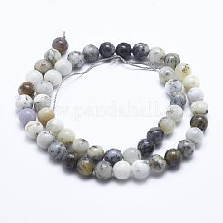 Bianco naturale africano opale perle fili&nbsp;G-E472-02-6mm