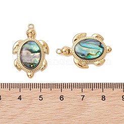 Colgantes de resina epoxi de concha de paua natural&nbsp;PALLOY-JF05271-01