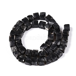 Natürliche Larvikit-Perlenstränge&nbsp;G-T139-8x8-25A