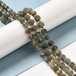 Natur Labradorit Perlen Stränge&nbsp;G-P508-A20-01