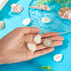 5 colgante de lágrima de concha natural&nbsp;SHEL-TA0001-37