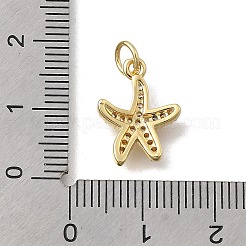 Ciondoli in ottone zirconi chiari micro pavé&nbsp;KK-D431-053B-G