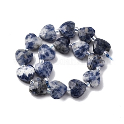 Natürliche blaue Fleck Jaspis Perlen Stränge&nbsp;G-P570-E19-01