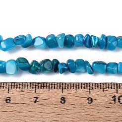 Eau douce naturelle de coquillage perles brins&nbsp;SHEL-N037-04I
