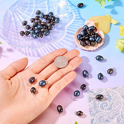 60 stücke 3 arten gefärbt natürliche zucht süßwasser perle reis anhänger&nbsp;PALLOY-CW00005