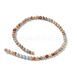 Brins de perles de jaspe impérial/régalite naturelle teintée/jaspe sédimentaire marin&nbsp;G-B124-C05-04