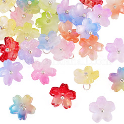 27 pz 9 colori ciondoli in vetro bicolore&nbsp;PALLOY-TADJ00014