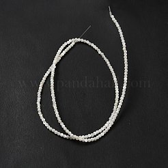 Bianco naturale perline shell fili&nbsp;SHEL-G014-14