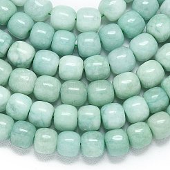 Natürliche Malaysia Jade Perlen Stränge&nbsp;G-B165-F14-10x10mm