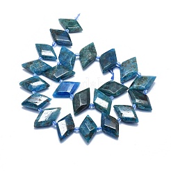 Apatite naturali fili di perle&nbsp;G-O179-H27