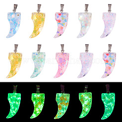 15 colgante de lentejuelas de resina luminosas&nbsp;RESI-TA0004-20A