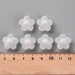 Perles en acrylique transparente&nbsp;LS-TACR-S152-09C-06