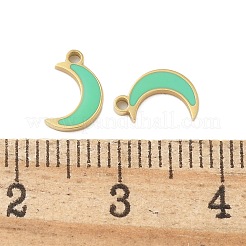 304 Edelstahl-Emaille-Anhänger&nbsp;STAS-L022-333G-02