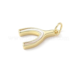 Messing Pavé Naturmuschel Wishbone Anhänger&nbsp;KK-L239-005G