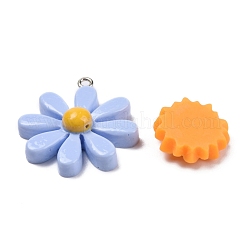 Pendentifs et cabochons en résine époxy&nbsp;CRES-MSMC002-56