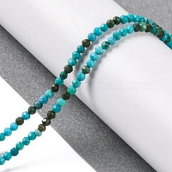 Fili di perline di howlite naturale&nbsp;G-C025-02A-04