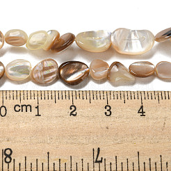 Stränge natürlicher Muschelperlen&nbsp;SSHEL-H072-14