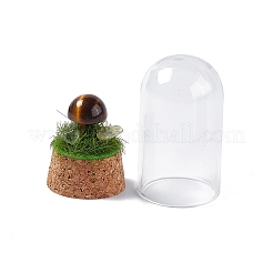 Decorazione naturale dell'esposizione del fungo dell'occhio di tigre con copertura della cloche della cupola di vetro&nbsp;G-E588-03F