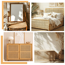 Osier en rotin naturel&nbsp;AJEW-WH0410-271D