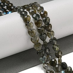 Natur Labradorit Perlen Stränge&nbsp;G-P544-E01-01