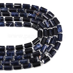 Natur Sodalith Perlen Stränge&nbsp;G-G453-E06-10x14mm