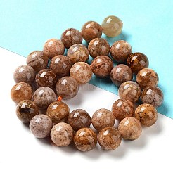 Naturelles fleurs agate perles brins&nbsp;G-B044-A01-04