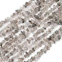Natürliche schwarze Erdbeerquarz-Chip-Perlenstränge&nbsp;G-B160-A03