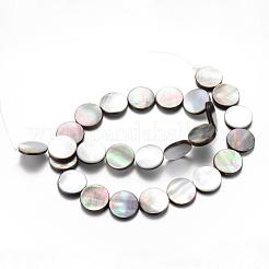 Natürliche schwarze Lippenschalenperlenstränge&nbsp;SHEL-R018-01
