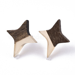 (venta de fábrica de fiestas de joyería) aretes de resina transparente y madera de nogal&nbsp;EJEW-N017-004A-E01
