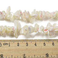 Natürliche Trochusmuschelperlenstränge&nbsp;SSHEL-H072-04