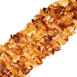 Perles d'ambre naturel brins&nbsp;G-N371-21A-01