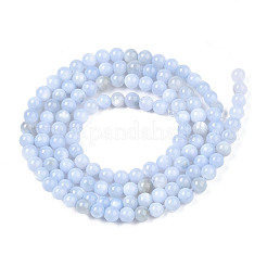 Eau douce naturelle de coquillage perles brins&nbsp;X-BSHE-T009A-01F