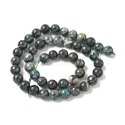Fili di perline di dioptase naturali&nbsp;G-D302-02-8mm