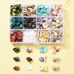 198g 11 Arten natürliche gemischte Muschelperlen-Sets&nbsp;BSHE-FS0001-05