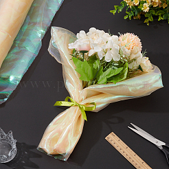 Laser-Polyester-Netzgewebe für Heimwerkerarbeiten&nbsp;DIY-WH0888-06A
