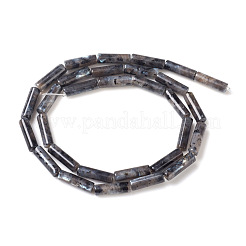Natürliche Larvikit-Perlenstränge&nbsp;G-F247-23